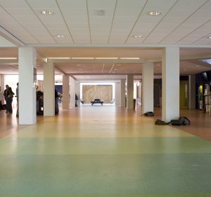 <span>Mendel College</span><i>→</i>